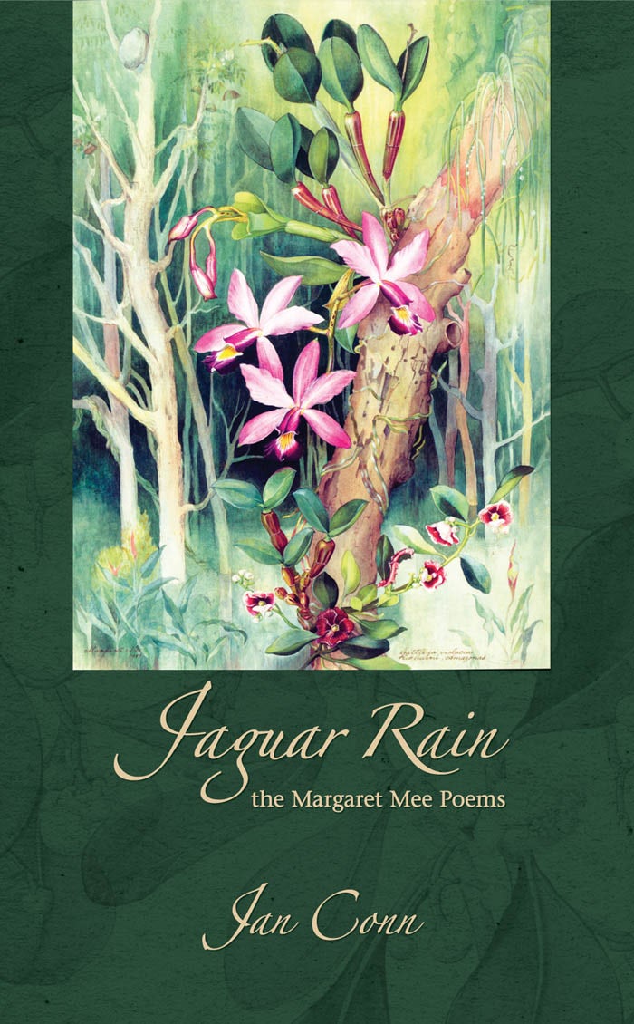 Book cover image for Jaguar Rain ISBN: 9781894078481